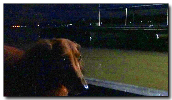 20131002140253.JPG