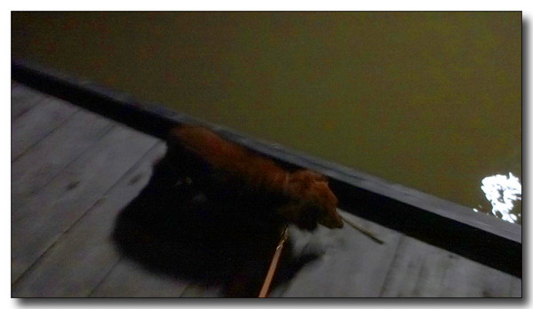 20131002140309.JPG
