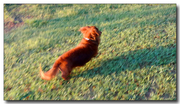 20131002164400.JPG