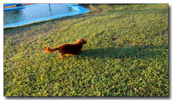 20131002164401.JPG