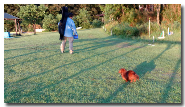 20131002164403.JPG