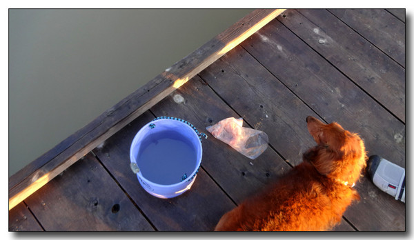 20131002164443.JPG