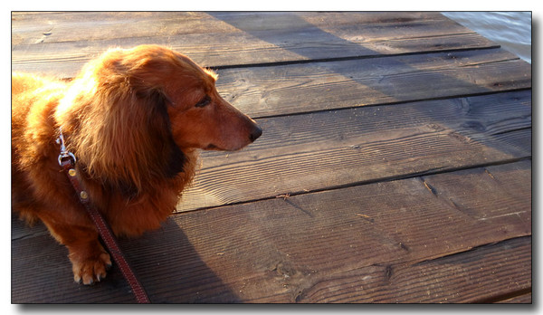 20131002164514.JPG
