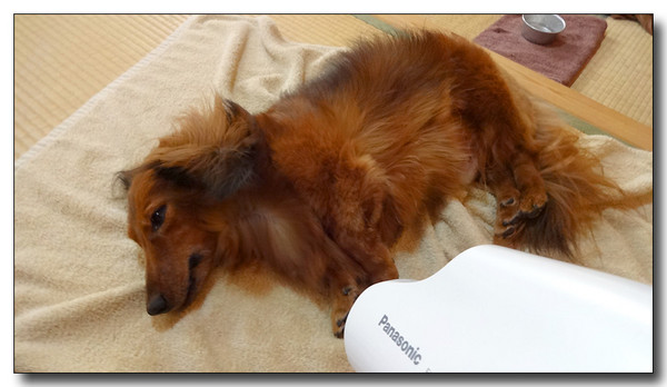 20131002170040.JPG