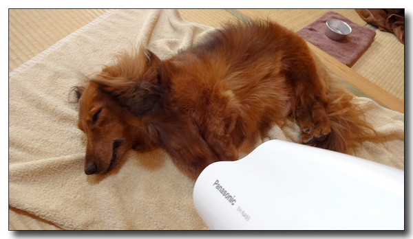 20131002170041.JPG