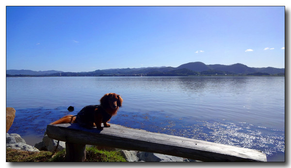 20131003100227.JPG