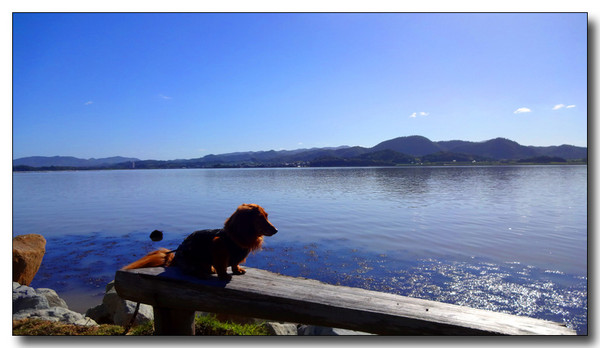 20131003100228.JPG