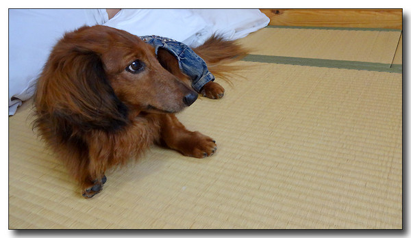 20131003111012.JPG
