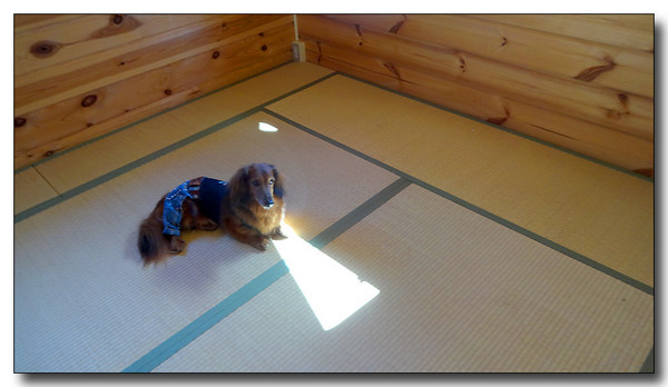 20131003111013.JPG