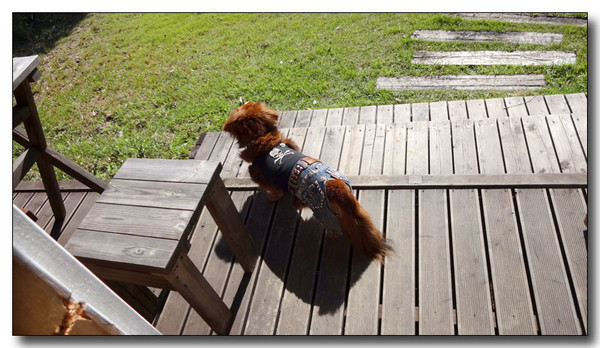 20131003111140.JPG