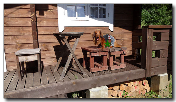 20131003111141.JPG