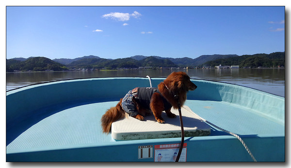 20131003111957.JPG
