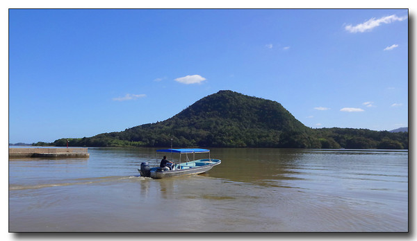 20131003112011.JPG