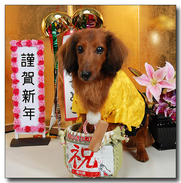 20140124163637.jpg