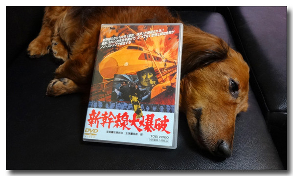 20140126233914.jpg