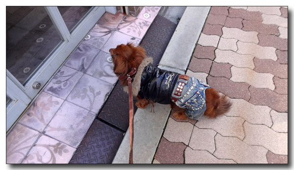 20140130005848.JPG