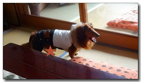 20140202123615.JPG