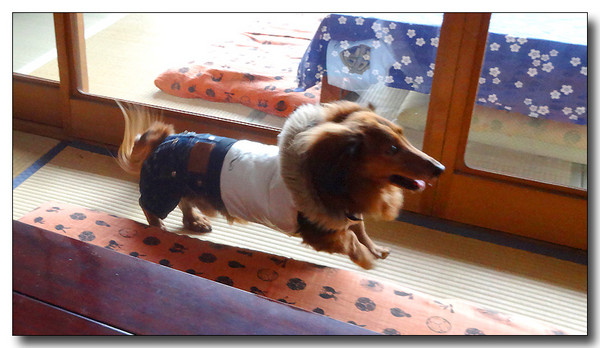 20140202123839.jpg
