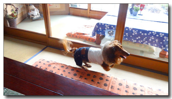 20140202123915.jpg