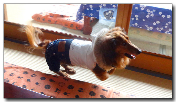 20140202123916.jpg