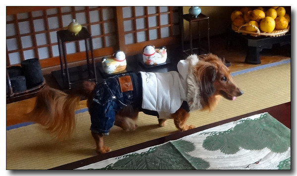 20140202123917.JPG