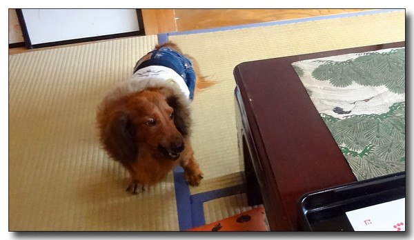 20140202123918.JPG
