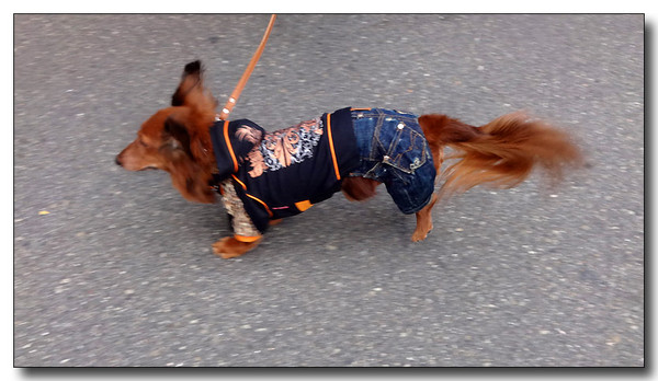 20140203095329.JPG