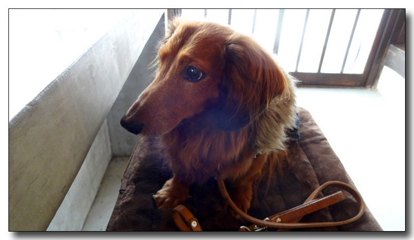20140205023600.JPG