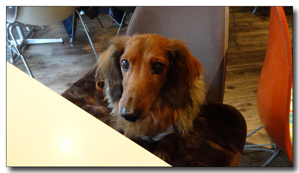 20140210214719.JPG