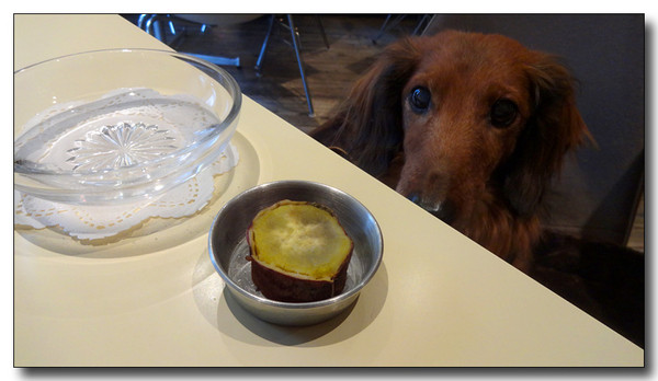20140210214753.JPG