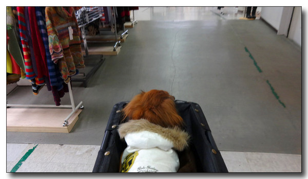 20140212225553.JPG