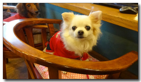 20140213064456.JPG