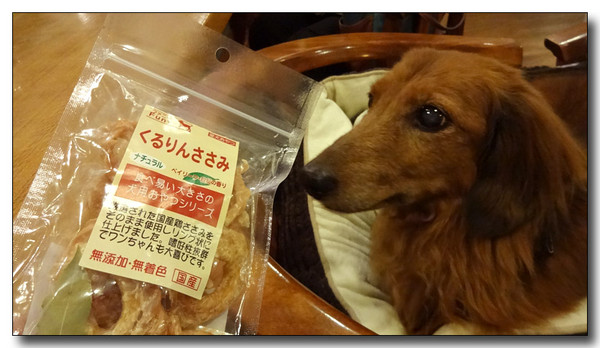 20141118181919.JPG