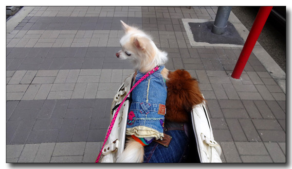 20141027152714.JPG