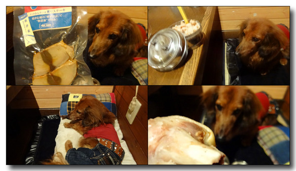 20141112083843.jpg