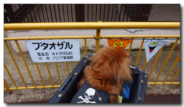 20141115061229.JPG