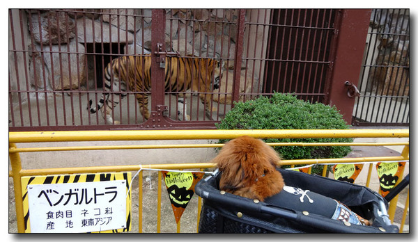 20141115062030.JPG