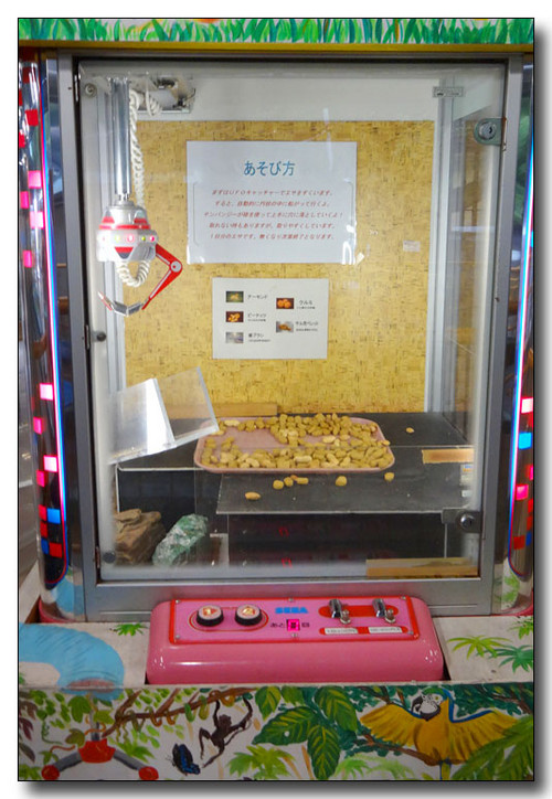 20141116070450.JPG