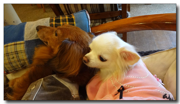20141208110439.JPG