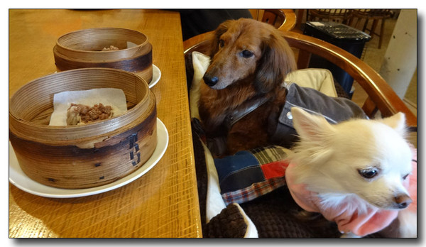20141208111023.JPG