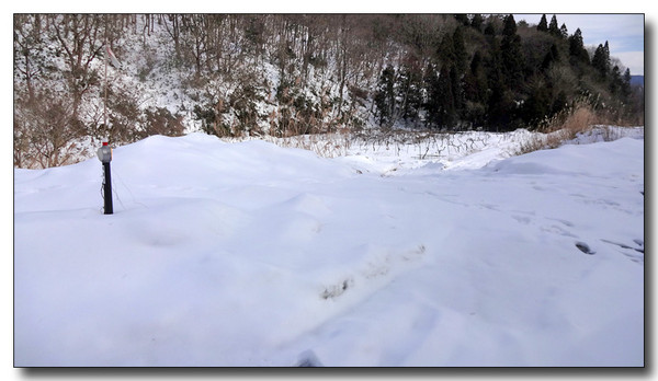 20150119153845.JPG