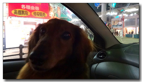 20150119162950.JPG