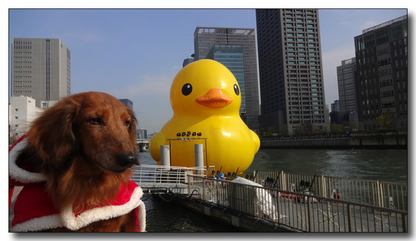 20150121071119.JPG