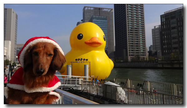20150121071120.JPG
