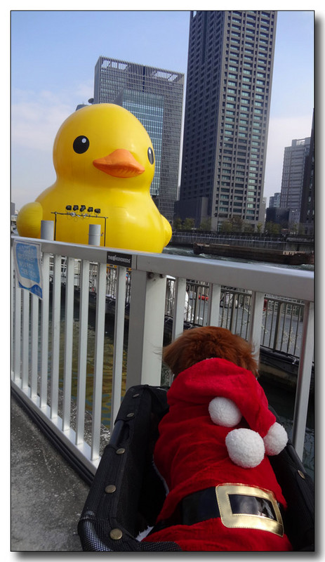 20150121071149.JPG