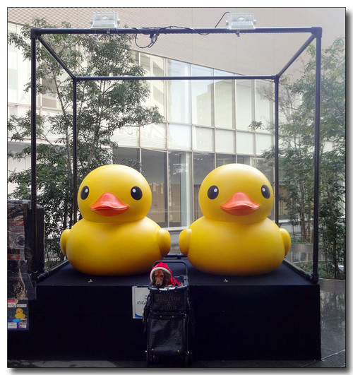 20150121071935.JPG