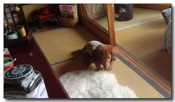 20150122010037.JPG