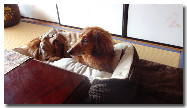 20150122010040.JPG