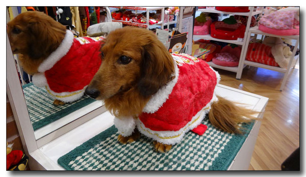 20141223010309.JPG