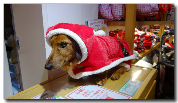 20141223010313.JPG